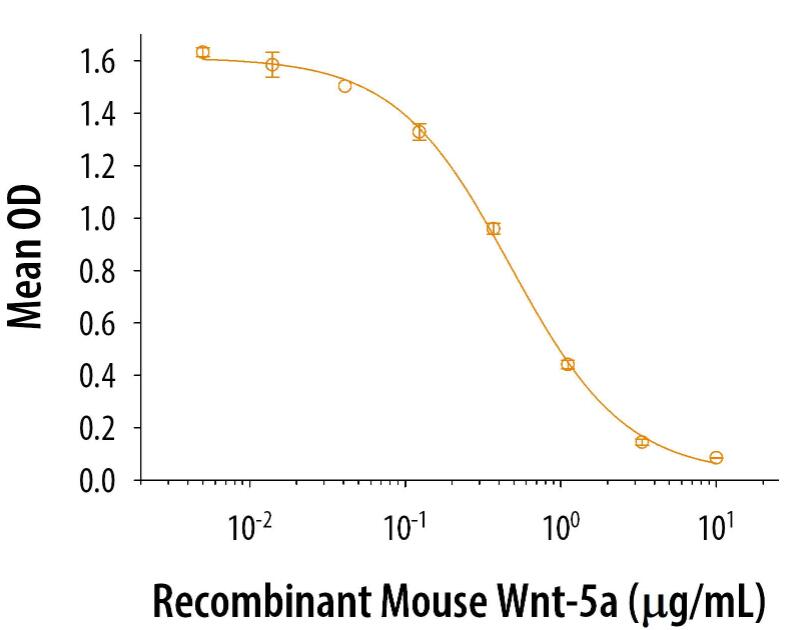 Recombinant mouse Wnt-5a inhibits Wnt-3a-induced alkaline phosphatase production in the MC3T3-E1 mouse preosteoblast cell line. The ED50 for this effect is 0.1-0.5 μg/mL in the presence of 5 ng/mL recombinant mouse Wnt-3a.